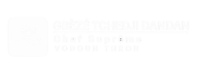 light logo gtd23 300x100